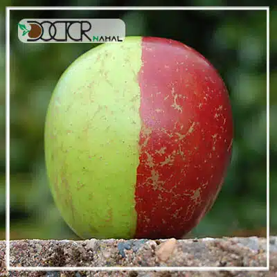 نهال سیب دو رنگ