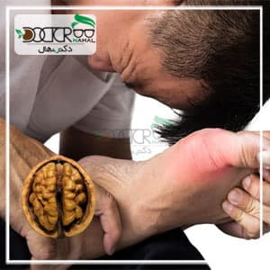 گردو و تاثیر آن به روی نقرس