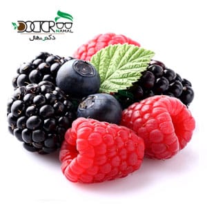 بهترین نهال توت