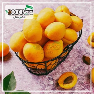 بهترین نهال زردآلو