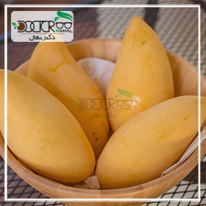 خواص انبه