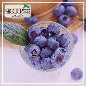 معرفی خواص بلوبری