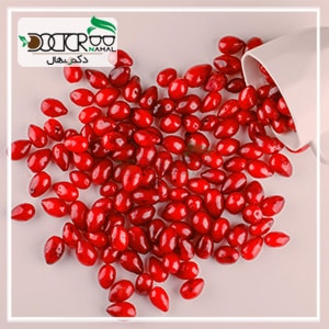 معرفی خواص زغال اخته