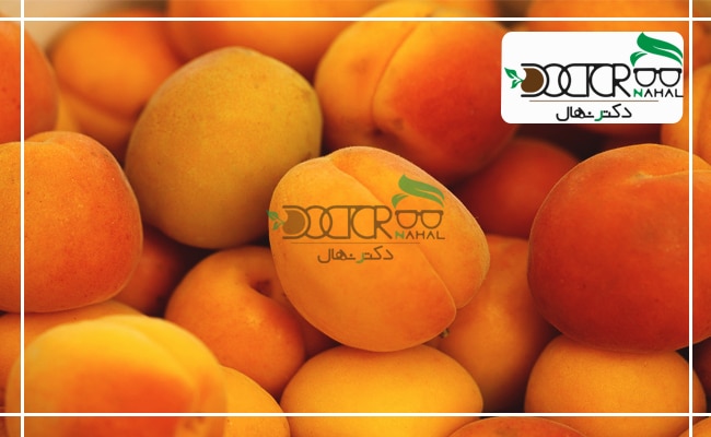 گونه نصیری زردآلو