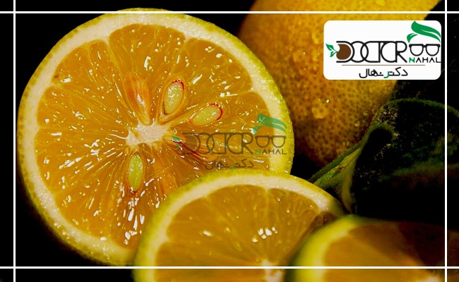 انواع گونه لیمو