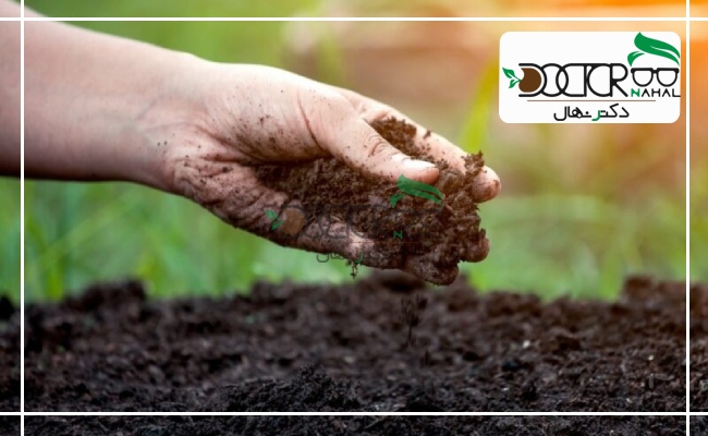 حاصلخیزی خاک برای داشتن محصول مرغوب در آینده اهمیت دارد.