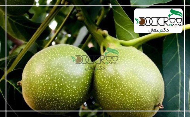 مقایسه گردو چندلر و ژنوتیپ