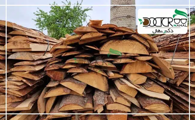یکی از کاربردهای نهال پالونیا تولید چوب برای استفاده در صنایع است.