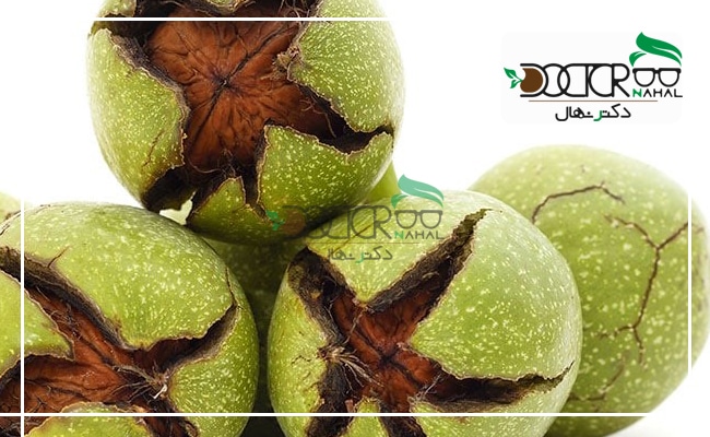 محصول نهال گردو چندلر