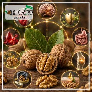 خواص گردو (هر آنچه از خاصیت مغز گردو باید بدانید)