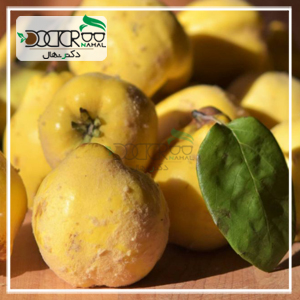 بهترین نهال به سردسیری+ ارقام مقاوم به سرما