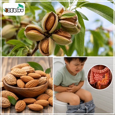 آیا بادام برای اسهال خوب است؟ (برسی تاثیر بادام)