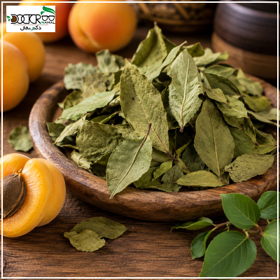 خواص برگه زردآلو در طب سنتی