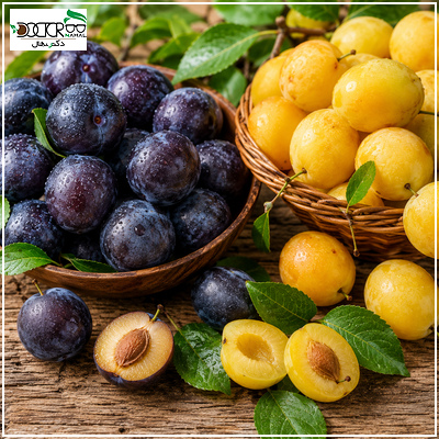 برسی کامل مضرات آلو سیاه، بخارا و زرد