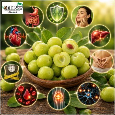 خواص گوجه سبز(16 فواید الوچه سبز برای انسان)