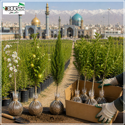 خرید نهال در مشهد؛ راهنمای انتخاب و خرید بهترین نهال