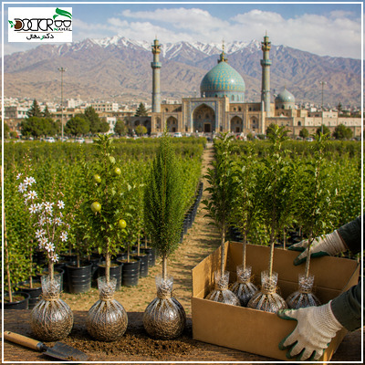 خرید نهال از جهاد کشاورزی قزوین