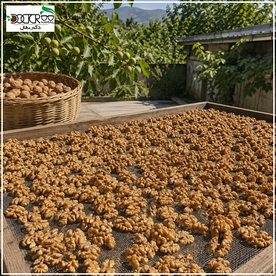 گردو را چگونه خشک کنیم؟(بهترین روش خشک کردن گردو)