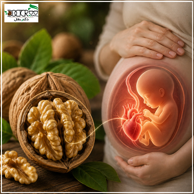 گردو برای تشکیل قلب جنین(خواص گردو در بارداری)
