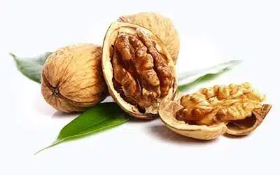 خرید نهال گردو