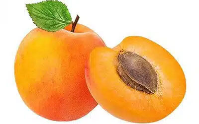 نهال زردآلو