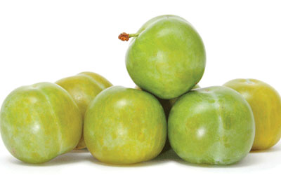 نهال گوجه سبز