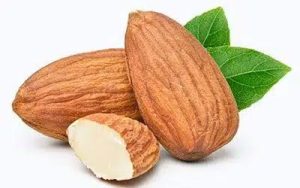 نهال بادام