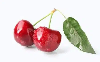 نهال گیلاس