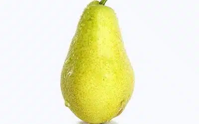 نهال گلابی