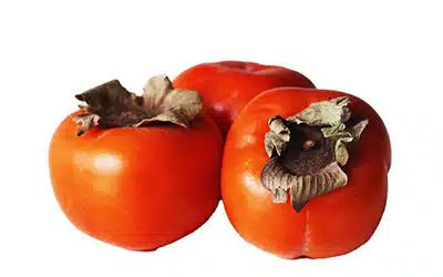 نهال خرمالو