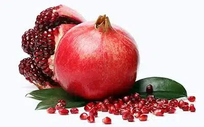 نهال انار